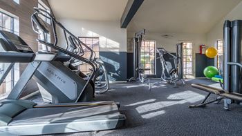 Arboretum Fitness Center with Plenty of Cardio Machines